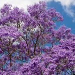 Mental Health – More than an absence of illness